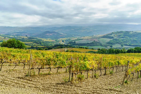 Vinhedos Outono Toscana Itália — Fotografia de Stock