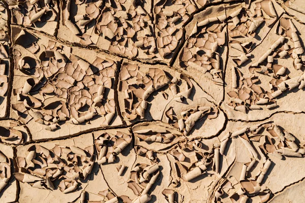 Detail Des Trockenen Bodens Der Wüste Textur Muster — Stockfoto