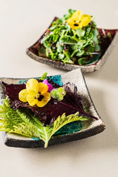 Verse Eetbare Microgreens Bloemen — Stockfoto