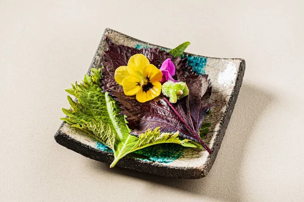Čerstvé Jedlé Mikrozeleně Květiny — Stock fotografie