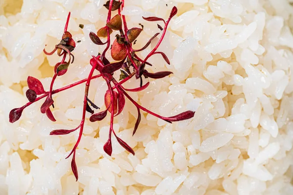 Rýže Bylinkami Mramorovém Pozadí — Stock fotografie