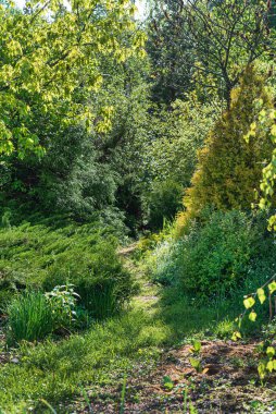 Ve çeşit çeşit ağaçlarla donatılmış bahçeler.
