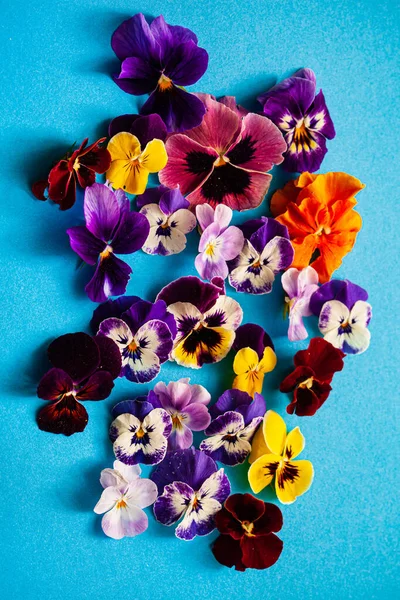 Mavi Arka Planda Güzel Çiçekler — Stok fotoğraf