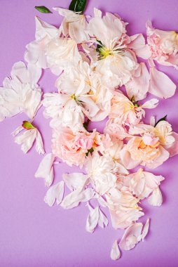 Renk arkaplanda şakayık yaprakları