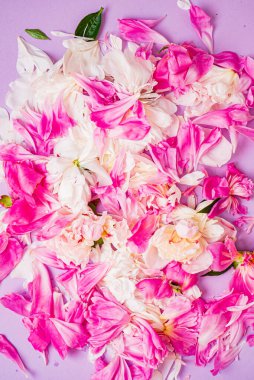 Renk arkaplanda şakayık yaprakları