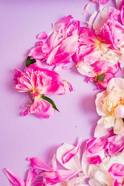 Renk arkaplanda şakayık yaprakları