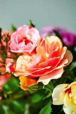 Vazodaki renkli güller