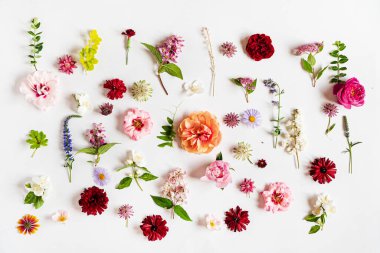 Beyaz üzerinde güzel çiçekler.