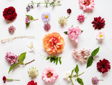 Beyaz üzerinde güzel çiçekler.