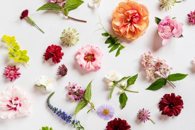 Beyaz üzerinde güzel çiçekler.