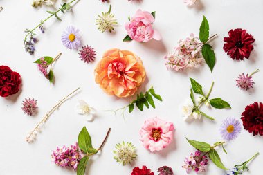 Beyaz üzerinde güzel çiçekler.