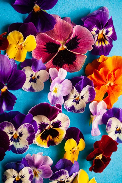 Mavi Arka Planda Güzel Çiçekler — Stok fotoğraf