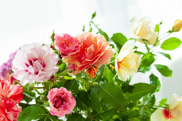 花瓶のカラフルなバラ — ストック写真