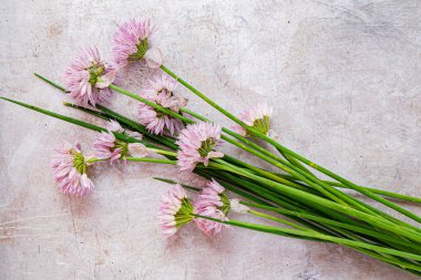 Metal arkaplanda chives
