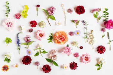 Beyaz üzerinde güzel çiçekler.