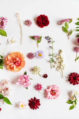 Beyaz üzerinde güzel çiçekler.