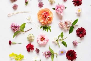 Beyaz üzerinde güzel çiçekler.