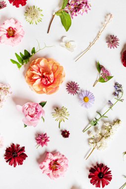 Beyaz üzerinde güzel çiçekler.