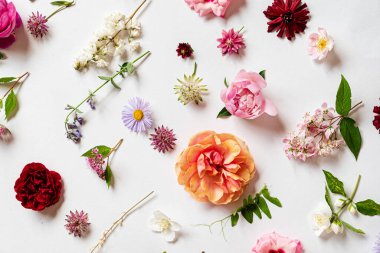 Beyaz üzerinde güzel çiçekler.