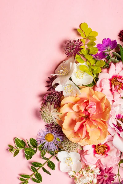 Bonitas Flores Sobre Fondo Rosa — Foto de Stock