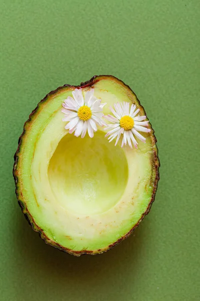 Funny Avocado Green Background — Stock Photo, Image