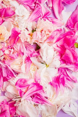 Renk arkaplanda şakayık yaprakları