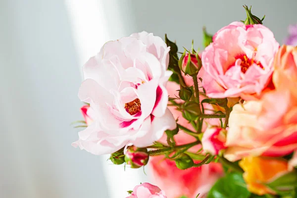 Bunte Rosen Der Vase — Stockfoto