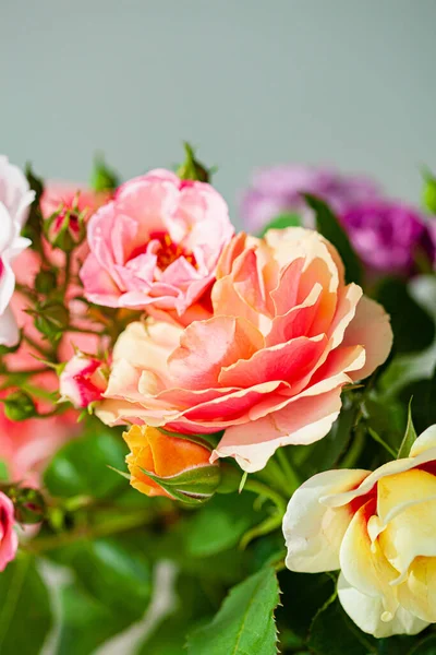 Rose Colorate Nel Vaso — Foto Stock