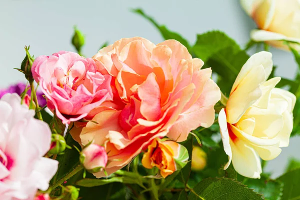 Πολύχρωμα Τριαντάφυλλα Στο Βάζο — Φωτογραφία Αρχείου