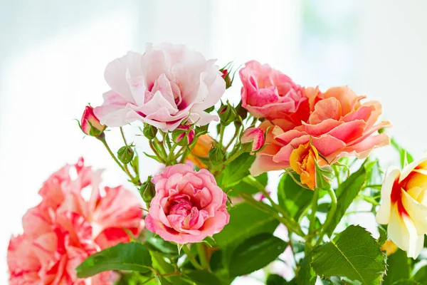 花瓶里五彩缤纷的玫瑰 — 图库照片