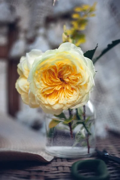 Yellow Roses Vase — Stock Photo, Image