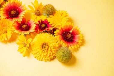 Sarı arka planda güzel çiçekler.