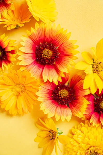 Pěkné Květiny Žlutém Pozadí — Stock fotografie