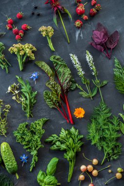 Siyah arka planda farklı bitkiler