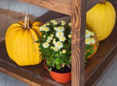 Sonbahar çiçekleri ve sebzeler mutfakta.