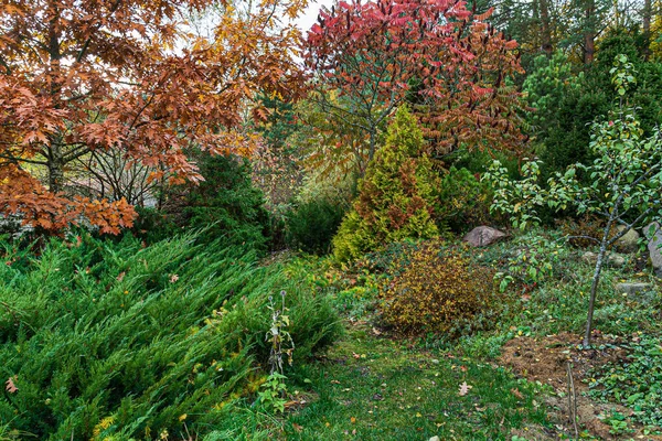 Autumn Garden Nice Trees — Stock Photo, Image