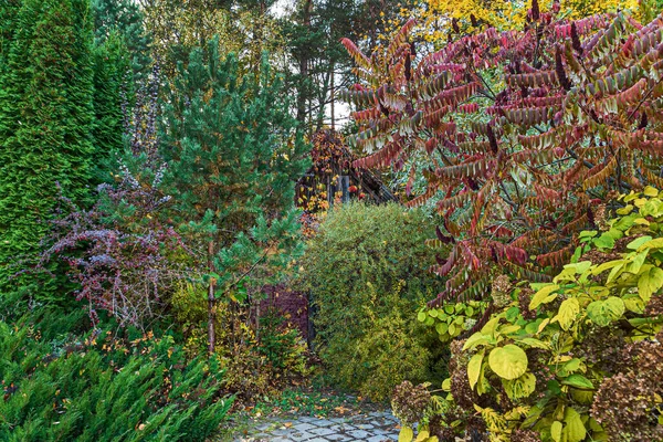 Autumn Garden Nice Trees — Stock Photo, Image