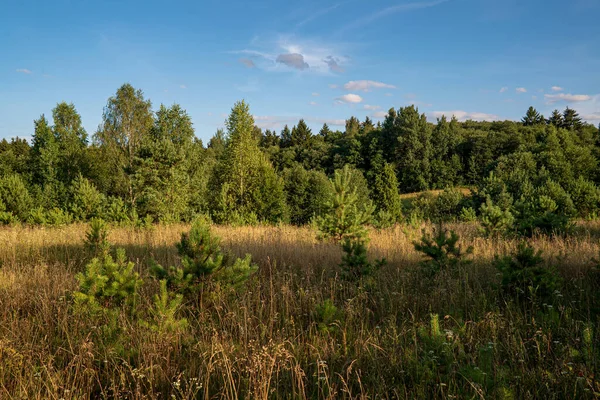 Slaměný Koš Louce — Stock fotografie