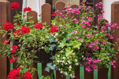 Kutularda güzel çiçekler var.