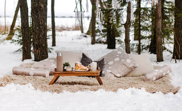 Winter Picnic Forest — Stock Photo, Image