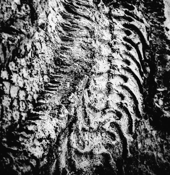 tyre tracks in the mud