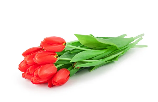 Jarní Kytice Červené Tulipány Izolovaných Bílém Pozadí — Stock fotografie