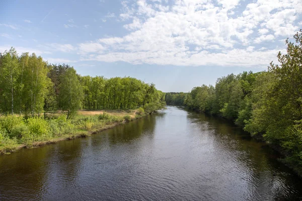 Natur Wald Flusslandschaft — Stockfoto