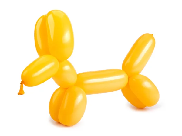 Perro globo retorcido amarillo aislado sobre fondo blanco . — Foto de Stock