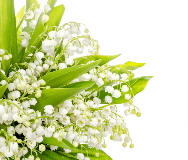 Boeket van lily of the valley op witte achtergrond — Stockfoto