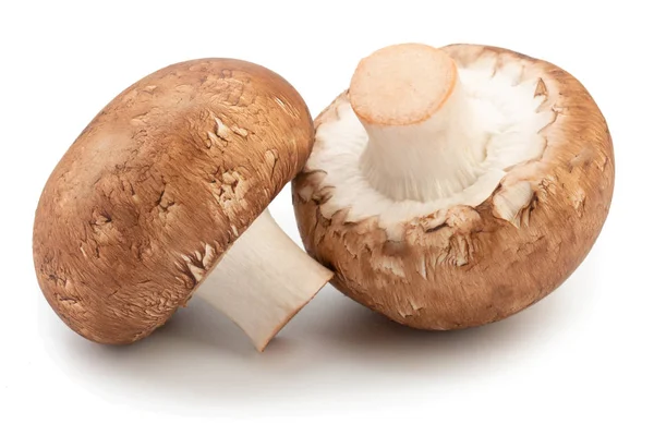 Champignon brun gourmet isolé sur fond blanc — Photo