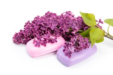 Beyaz arka planda izole lila ve sabun dalları