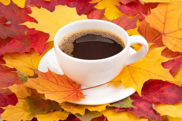 Café en una taza y hojas de arce de otoño — Foto de Stock