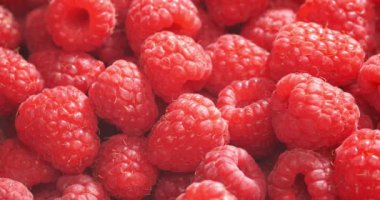 Rotasyon ahududunu kapat. Makro kırmızı taze ahududu meyvesi. Döndürme. 4k