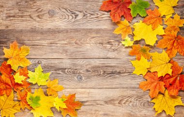 Çerçeve sonbahar yaprakları sınırını eski tahtanın üzerinde bırakıyor.